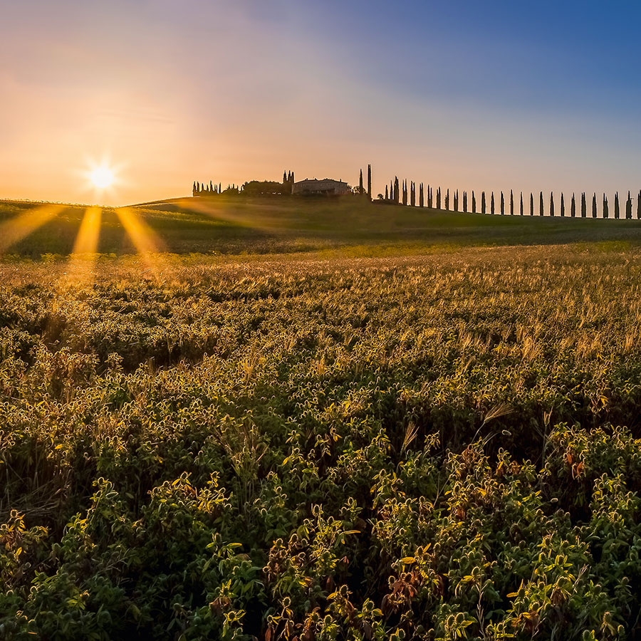 Val d'Orcia